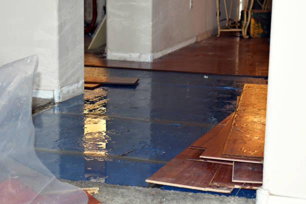 Professional Basement Flood Cleanup technician working in Hickory Corners, MI